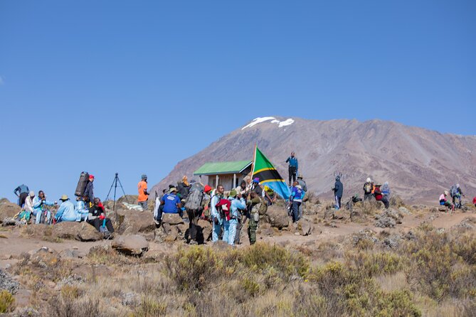Climbing Kilimanjaro - Marangu Route - Day 5: Returning through moorland and rainforest