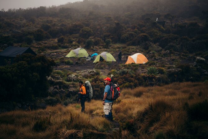 Climbing Kilimanjaro through 7 days Machame Route - Why seven days on Machame works