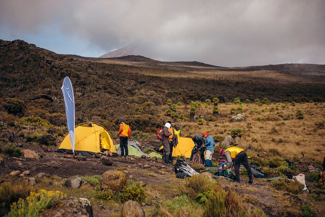 Climbing Kilimanjaro through 7 days Machame Route - Day 3: The Lava Tower and the walk-high, sleep-low rhythm