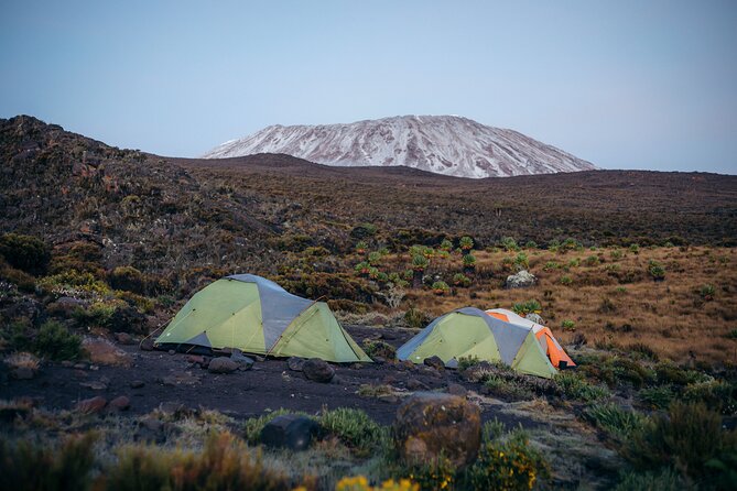 Climbing Kilimanjaro through 7 days Machame Route - Day 2: Leaving the forest for Shira Camp