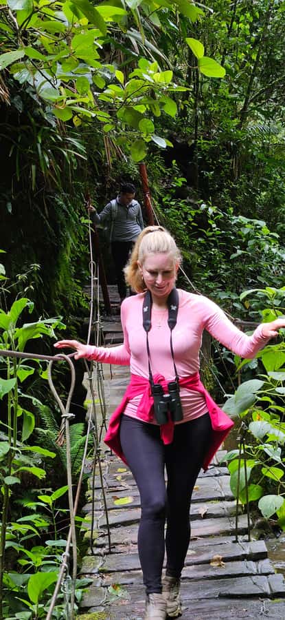 Cocora: trek to the hummingbirds sanctuary - Starting in Salento and heading into Cocora Valley