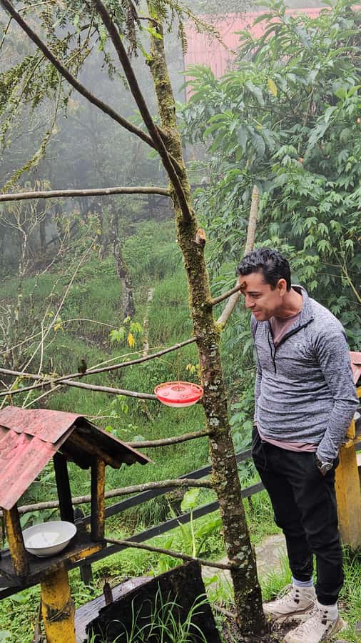 Cocora: trek to the hummingbirds sanctuary - Grasslands first, then the cloud forest