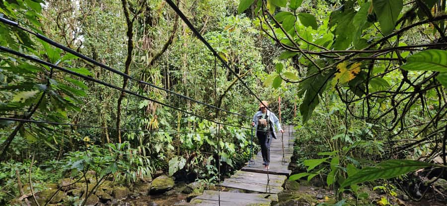 Cocora: trek to the hummingbirds sanctuary - Reaching Acaime, the Hummingbird House
