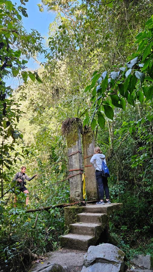 Cocora: trek to the hummingbirds sanctuary - Lunch on the trail and the return to Salento