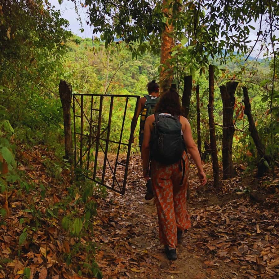 Coffee, Cocoa and Trekking Tour in Minca: Nature, Crops and Production - Forest trails, mountain views, and native plants