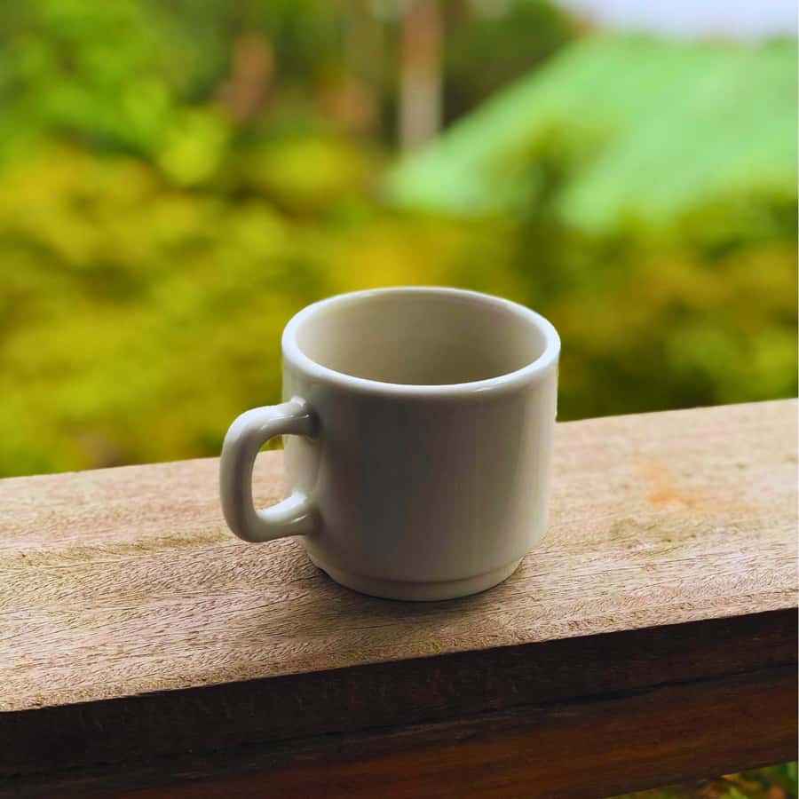 Coffee, Cocoa and Trekking Tour in Minca: Nature, Crops and Production - Finca San Rafael and the farm lesson