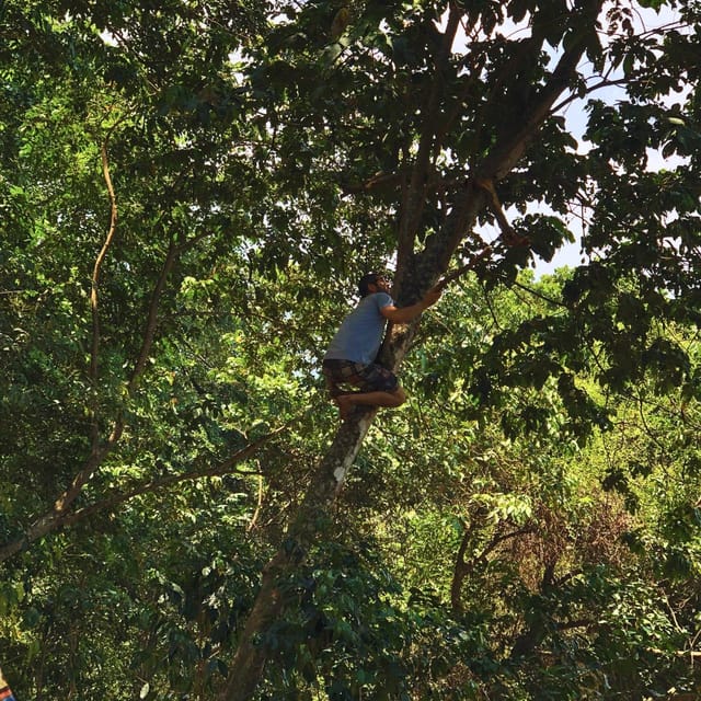 Coffee, Cocoa and Trekking Tour in Minca: Nature, Crops and Production - What $41 covers, and what it does not