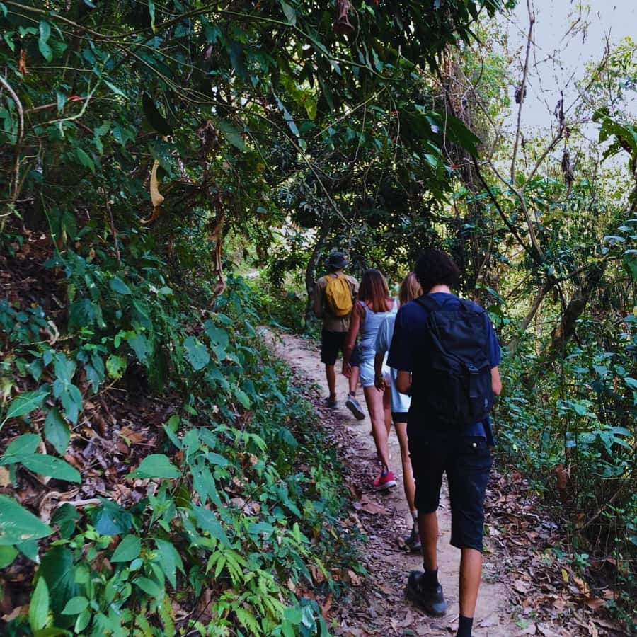 Coffee, Cocoa and Trekking Tour in Minca: Nature, Crops and Production - Who should book this Minca outing?