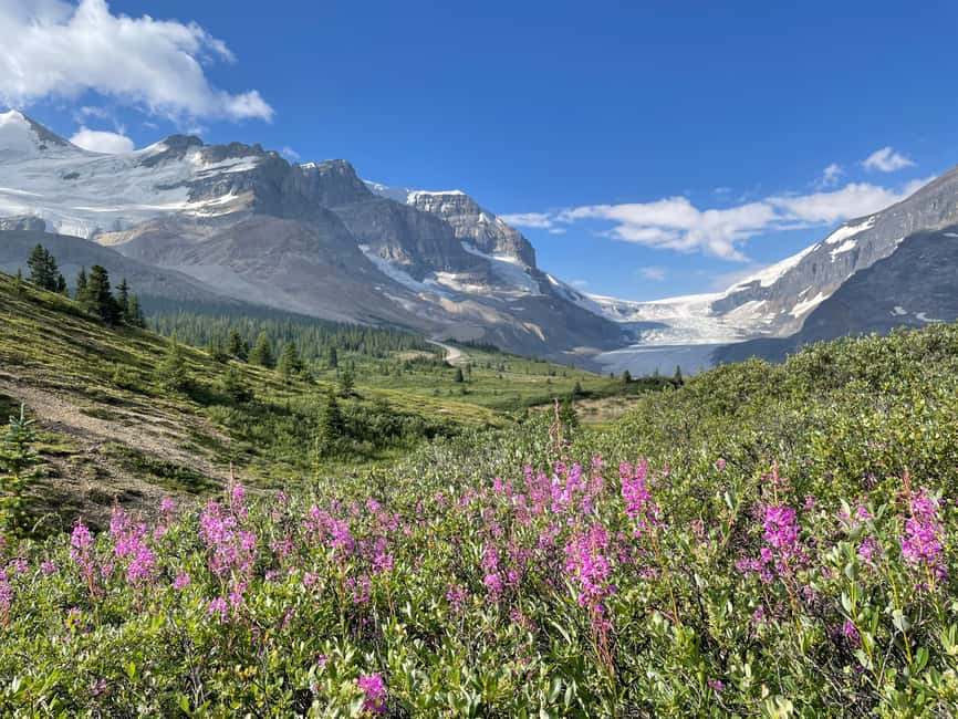 Columbia Icefield: Guided Glacier Hike - A practical three-hour itinerary