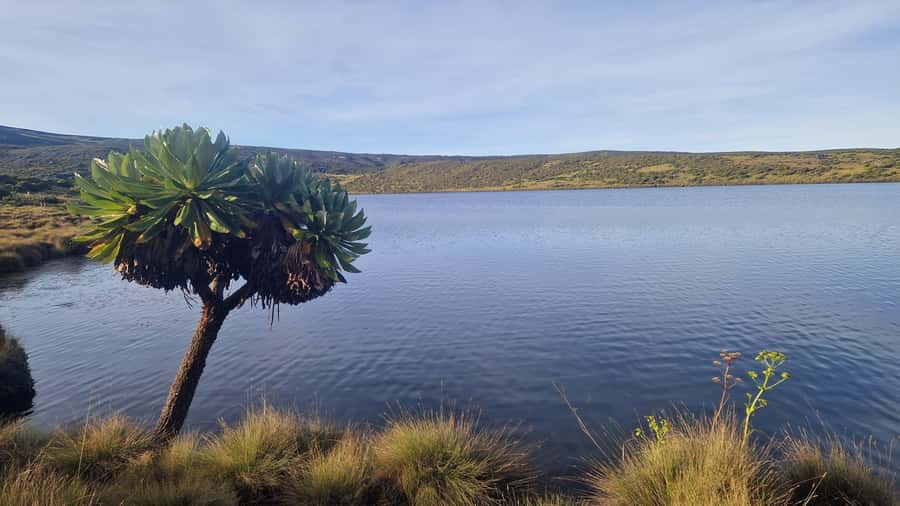 Conquer Mount Kenya: Mt Kenya Trekking via Chogoria 4-5 days - Guides, porters, food, and safety support