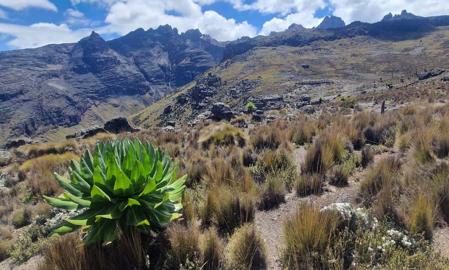 Conquer Mount Kenya: Mt Kenya Trekking via Chogoria 4-5 days - What to pack for high mountain weather