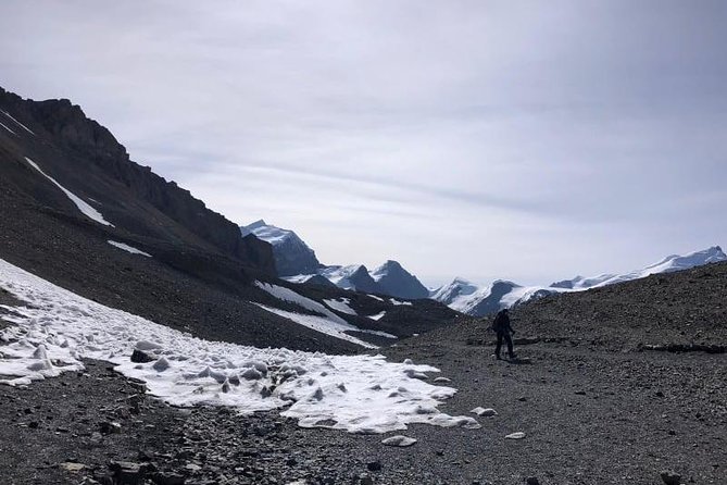 Conquer the Himalayas: The Ultimate 16-Day Annapurna Circuit Trek - What this Annapurna Circuit trip is really offering