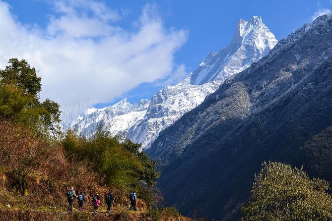 Conquer the Himalayas: The Ultimate 16-Day Annapurna Circuit Trek - Yak Kharka and Thorong Phedi prepare you for the pass