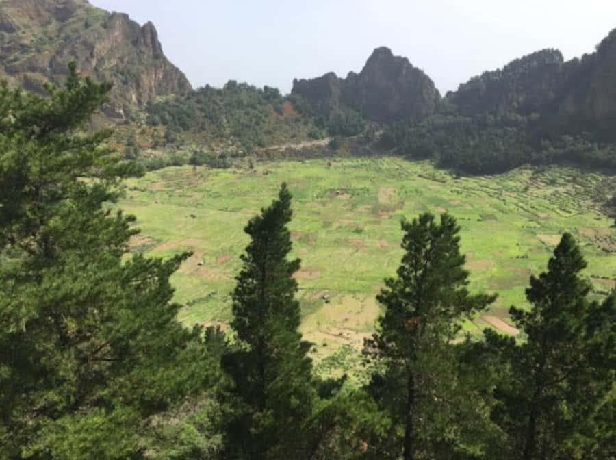 Cova–Paúl Valley Trek: Santo Antão Day Trip by Ferry - The road up to Cova de Paul