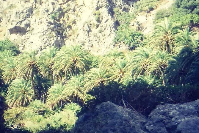 Crete: River Trekking at Preveli Beach - Why the Preveli riverbed is worth your morning