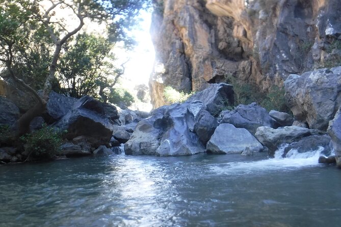 Crete: River Trekking at Preveli Beach - What the $118.29 price includes