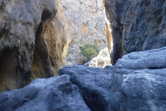 Crete: River Trekking at Preveli Beach - Fitness, safety, and comfort
