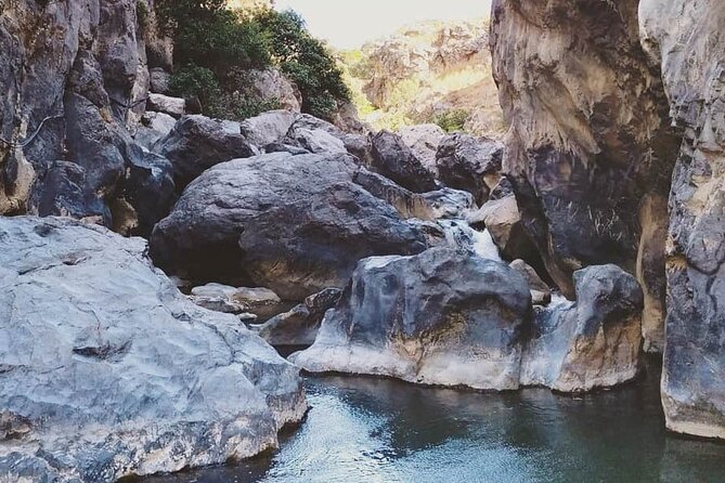 Crete: River Trekking at Preveli Beach - The small-group format and guide support