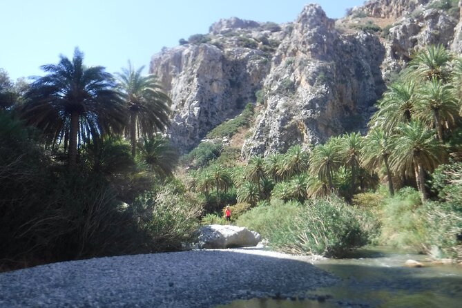 Crete: River Trekking at Preveli Beach - Who will enjoy this Preveli experience