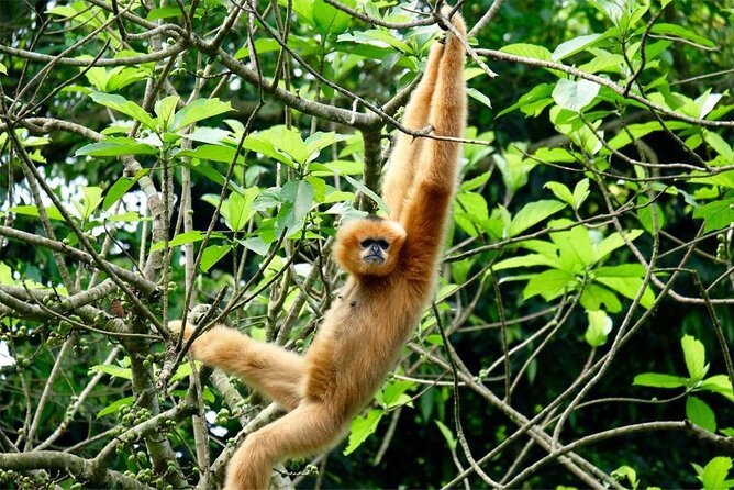 Cuc Phuong National Park Private Day Tour: Trekking & Primates - Entering the Cave of Prehistoric Man