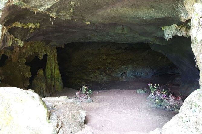 Cuc Phuong National Park Private Day Tour: Trekking & Primates - Who should book this day trip