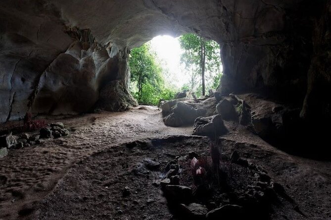 Cuc Phuong National Park Private Day Tour: Trekking & Primates - Trekking toward the Thousand Year Old Tree