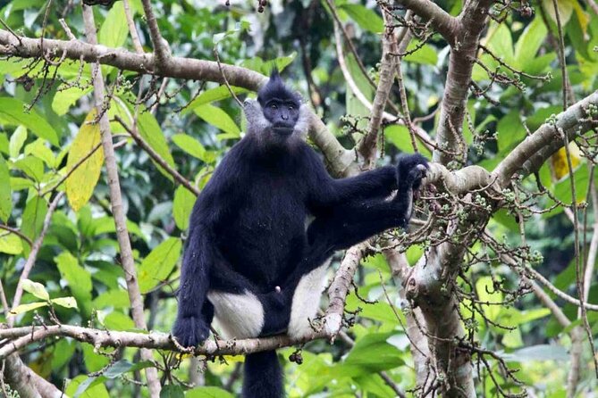 Cuc Phuong National Park Trekking: Private Day Tour From Hanoi - Lunch at the park center and the old forest trek