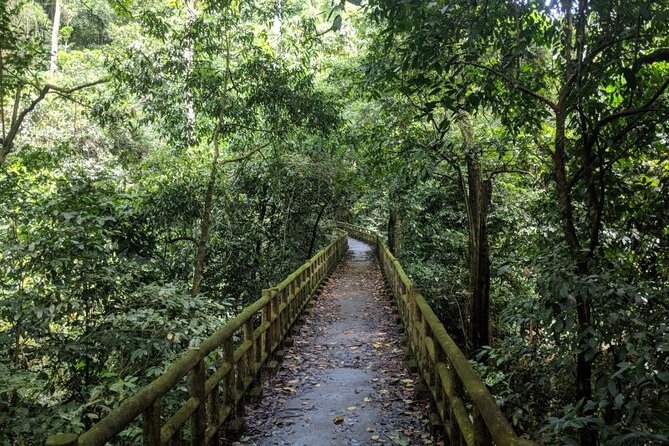 Cuc Phuong National Park Trekking: Private Day Tour From Hanoi - What the private format really gives you