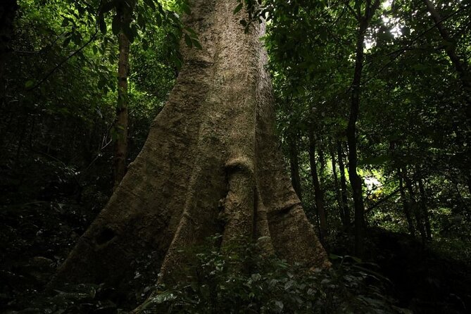 Cuc Phuong National Park Trekking: Private Day Tour From Hanoi - Is $105 a fair price?