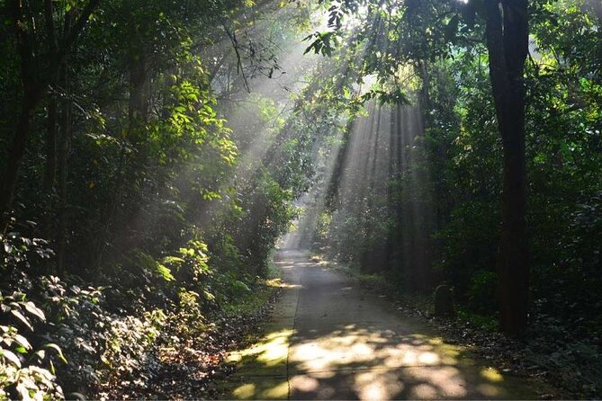 Cuc Phuong National Park Trekking: Private Day Tour From Hanoi - Booking details and cancellation terms