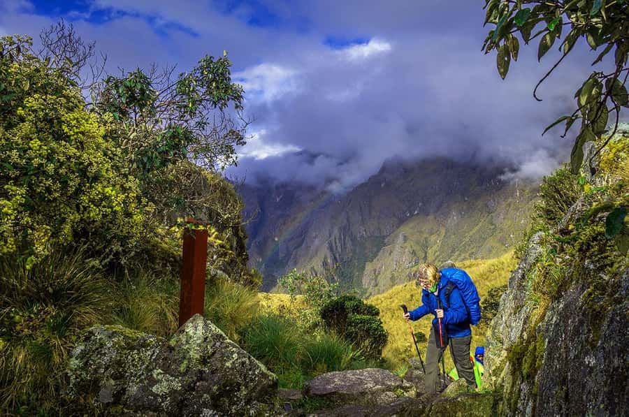 Cusco: 4-Day Inca Trail to Machu Picchu with Accommodation - Day 2: Coffee, Qhapaq Ñan, and Cocalmayo