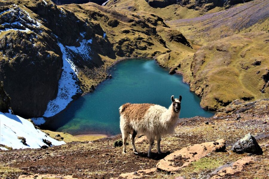 Cusco: 4-Day Lares Trek to Machu Picchu with Panoramic Train - What the $690 price really includes