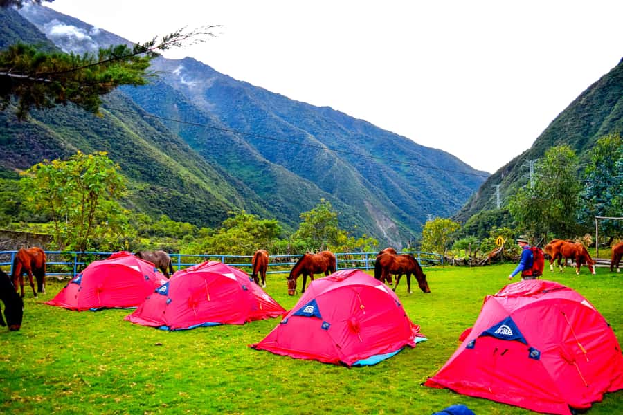 Cusco: 5-Day Salkantay Ultimate Trek to Machu Picchu - Who should book this trek?