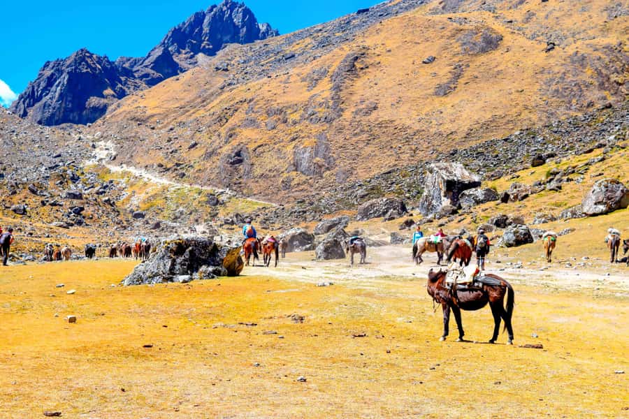 Cusco: 5-Day Salkantay Ultimate Trek to Machu Picchu - What the $669 price really includes