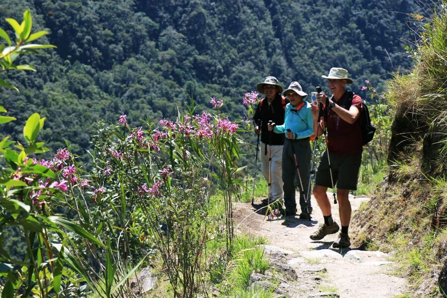 Cusco: Machu Picchu 2-Day Inca Trail with Panoramic Train - Sunrise at Machu Picchu and the full guided visit