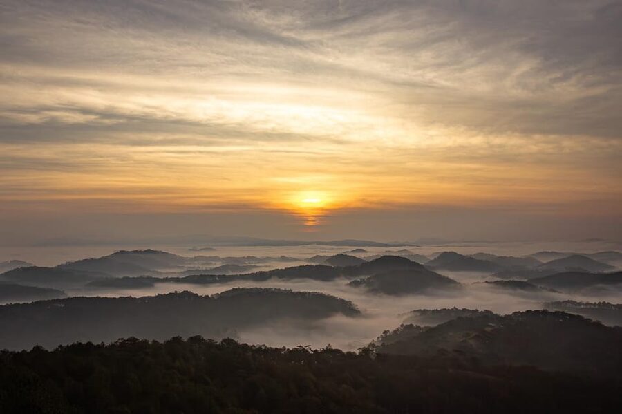 Da Lat: Chasing the Sunrise - A Mini Trek Adventure - The 20-minute pine-forest climb