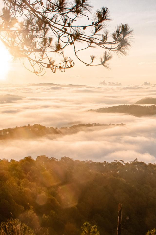 Da Lat: Chasing the Sunrise - A Mini Trek Adventure - Meeting at Da Lat Cathedral before dawn