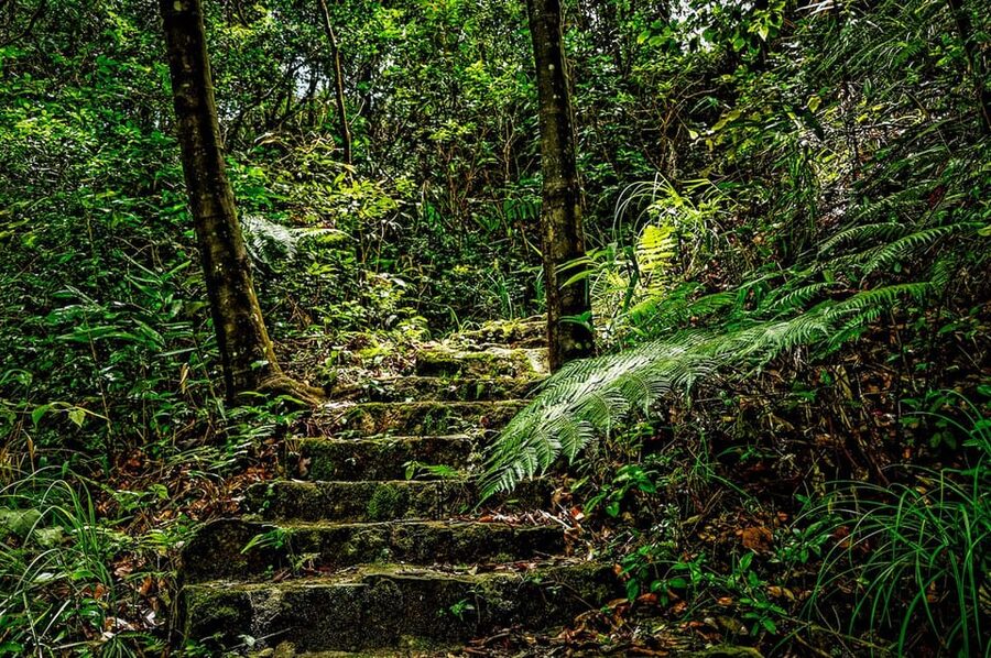 Da Nang: Bach Ma National Park Trek And Beach Retreat - French-era villas reclaimed by the forest