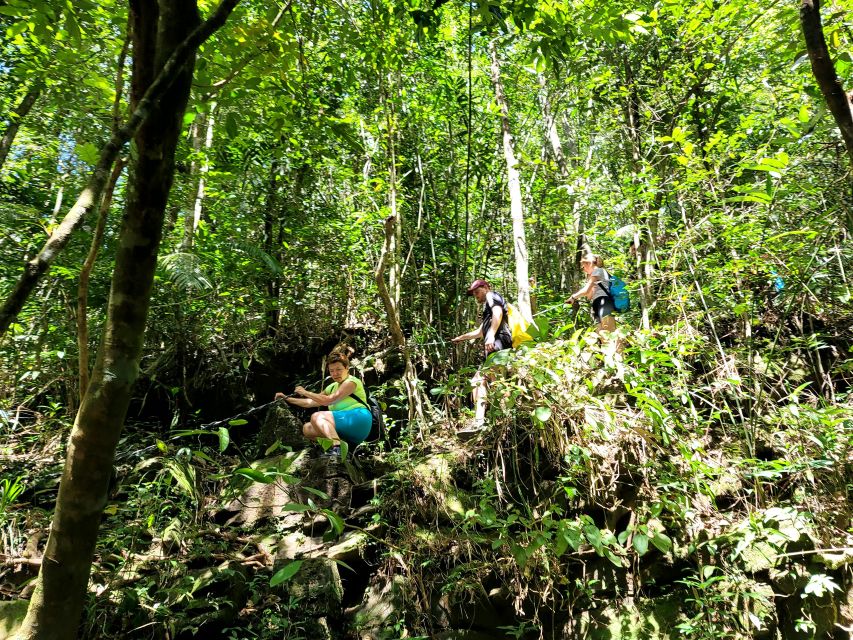 Da Nang/Hoi An to Hue via Bach Ma National Park Trekking - The 4:00 p.m. departure to Hue