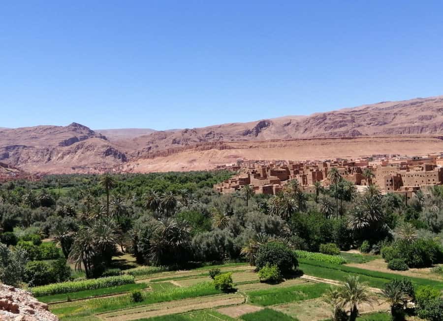 Dades Gorges: Monkey Toes Rock Formation Guided Trek - Who should book this Dades Gorge walk