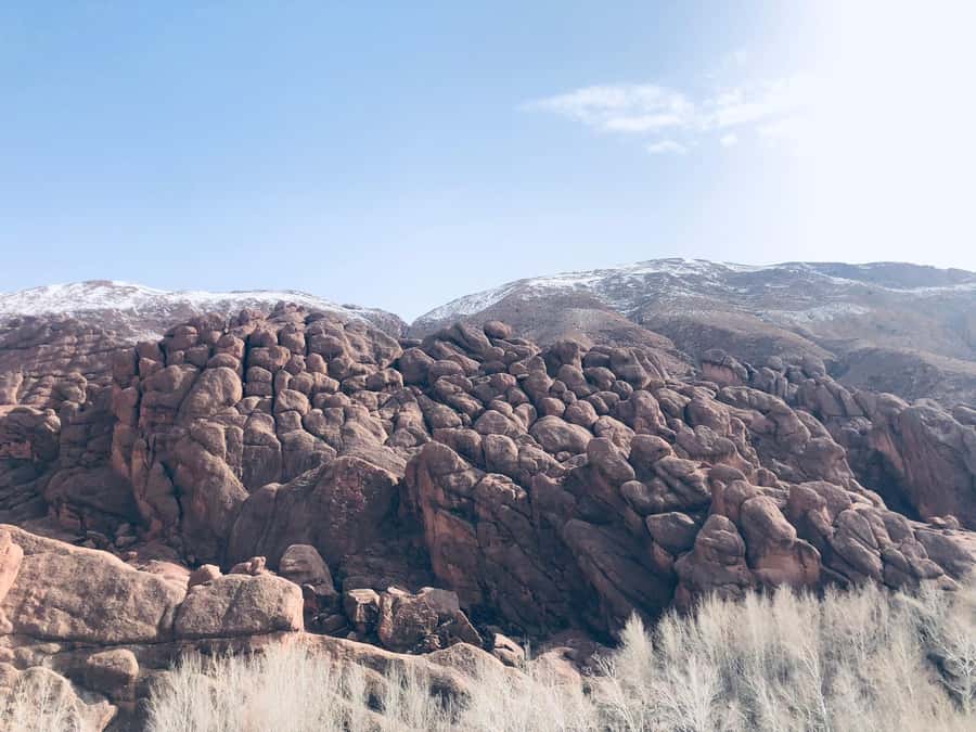 Dades Gorges: Monkey Toes Rock Formation Guided Trek - Green fields beside the river
