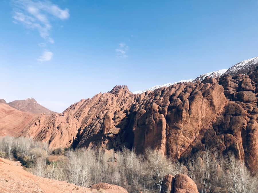 Dades Gorges: Monkey Toes Rock Formation Guided Trek - What the two available ratings tell you