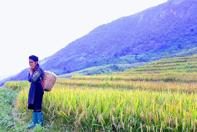 Daily Tour: Sapa Trekking in Muong Hoa valley, Bamboo forest - Why Muong Hoa Valley makes a good first Sapa trek