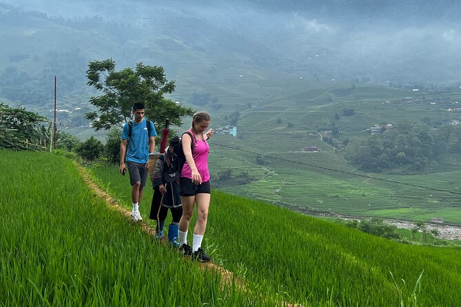 Daily Tour: Sapa Trekking in Muong Hoa valley, Bamboo forest - Walking through bamboo forest toward Ta Van