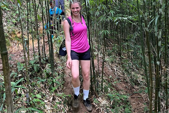 Daily Tour: Sapa Trekking in Muong Hoa valley, Bamboo forest - Giang Ta Chai and the ride back to Sapa