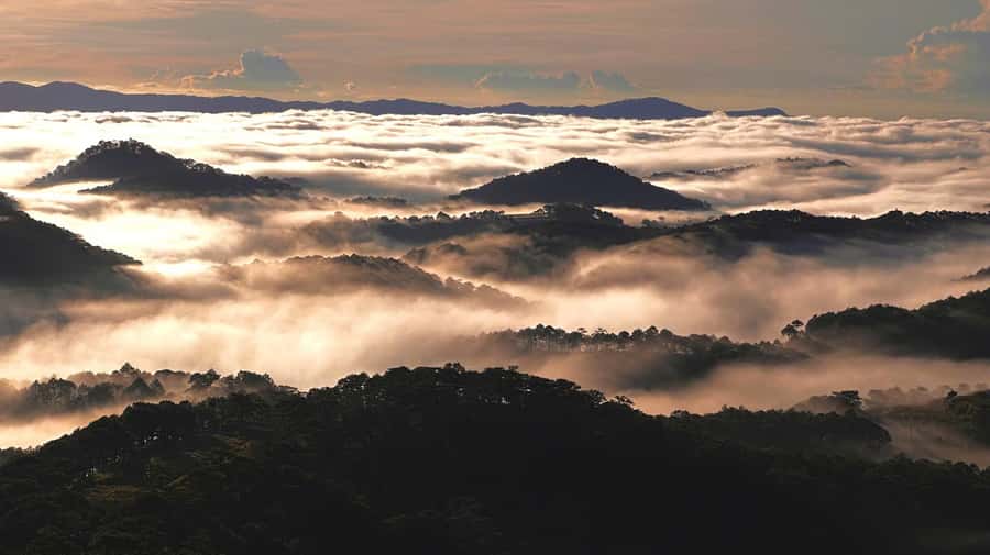 Dalat: Sunrise Trekking and Cloud Hunting experience - Who Should Book This Morning