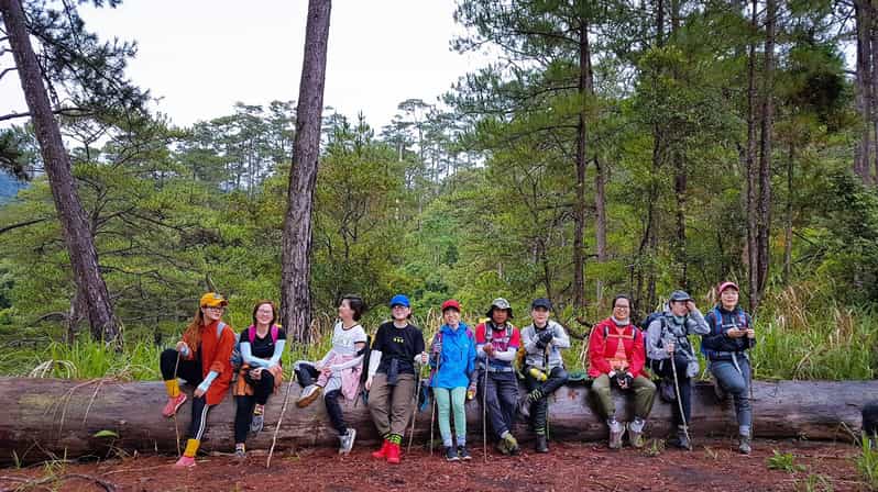 Dalat Trekking to Langbiang mt - Pine forest, jungle, and muddy ground