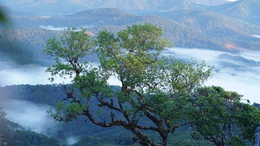 Dalat Trekking to Langbiang mt - The route toward Lat commune