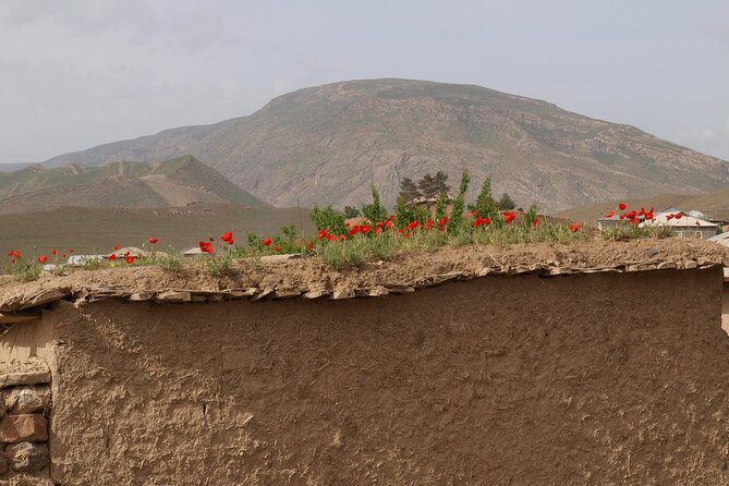 Darband-Boyson Uzbekistan Mountain Trekking 3-Day Private Tour From Samarkand - Sleeping with a local family in the mountain lodge