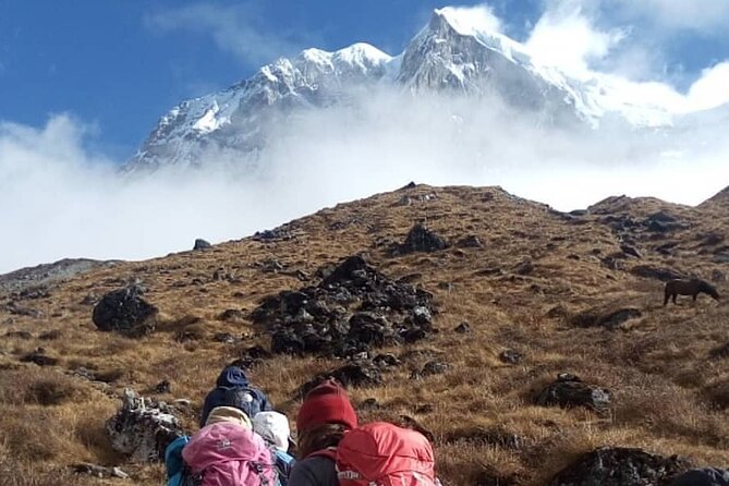 Darjeeling Singhalila Sandakphu Trek - Day 7: The final trek to Rimbick